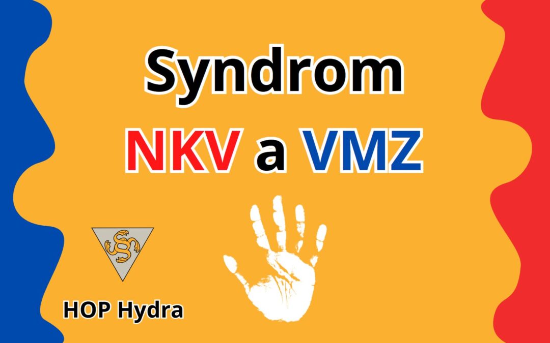 Syndrom NKV a VMZ